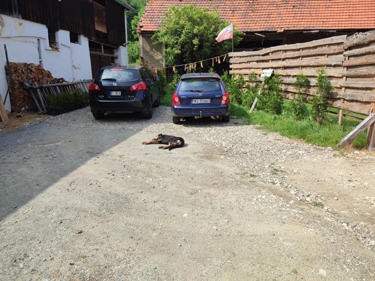 Magnoliowy Zakatek Villa Idzikow Bagian luar foto